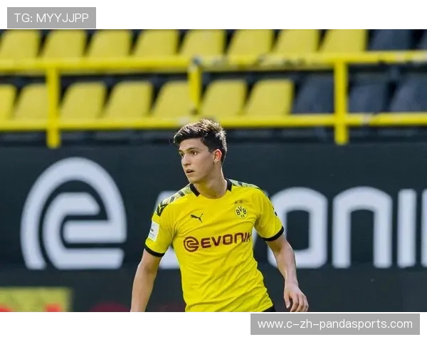 深圳外教凯利面临适应压力 战术体系与球员特点融合待加强 深圳外教凯利面临适应压力 战术体系与球员特点融合待加强